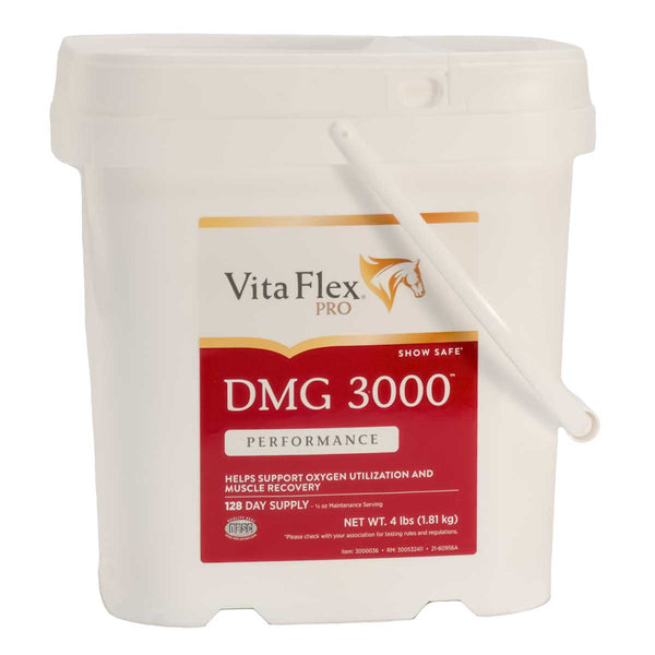Vita Flex Dmg 3000 4 lb